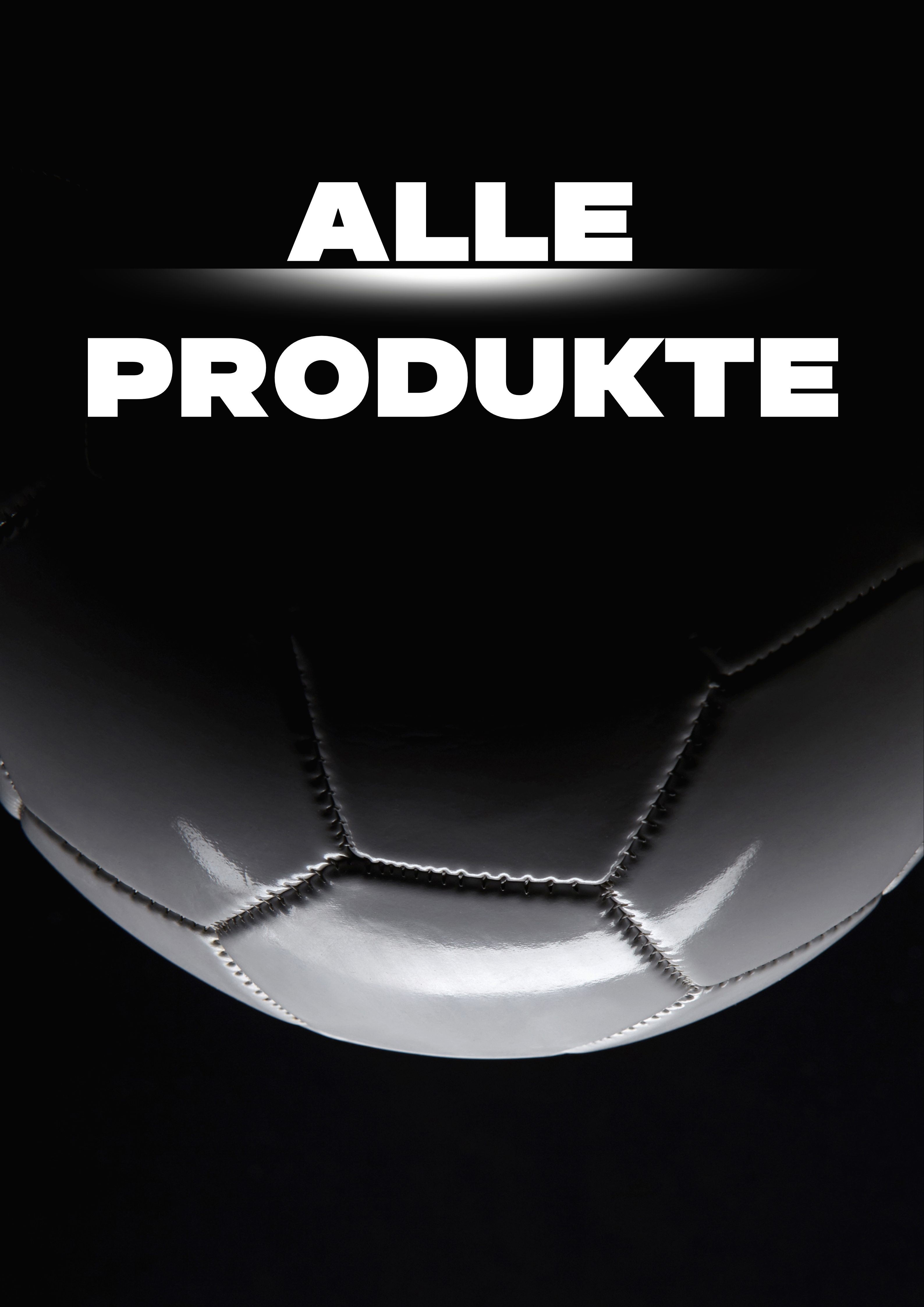 Alle Produkte